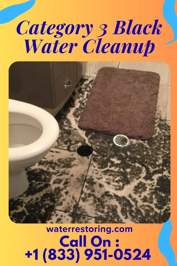 Category 3 Black Water Cleanup in Baxter, TN